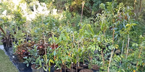 April NAP mtg at Greener Hills Nursery - Trimming Trees & choosing cold hardy plants