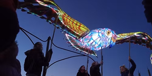 Wisewood Community Lantern Parade