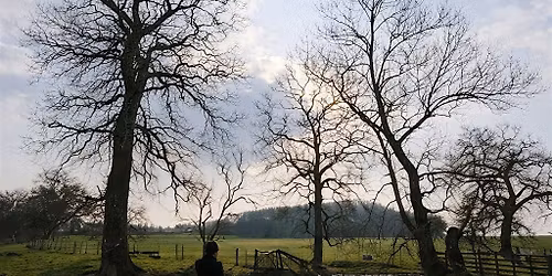 Meditation for Busy Minds: Zen + Sound (Beginner-Friendly)