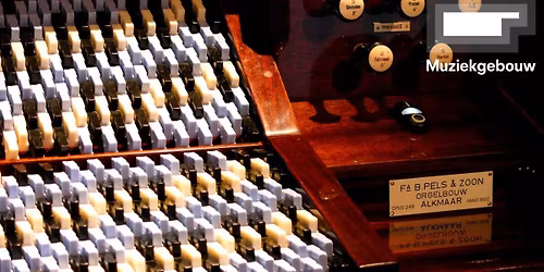 The Archiorganos - Maurizio Silva Orendain + Ed Williams