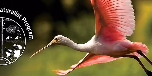 Florida Master Naturalist Program Coastal Shoreline Restoration Info Page