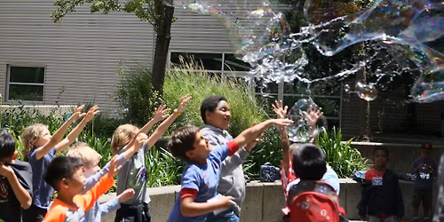 BubbleFest