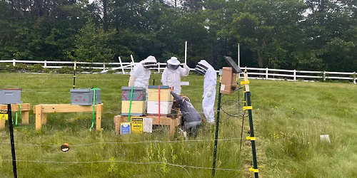 Small Group Beekeeping Classes