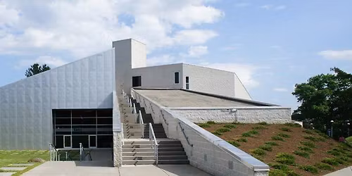 Whole Grain: Watch it Now! Video Art from the Ann and Mel Schaffer Collection