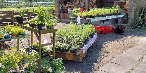 plantjesmarkt Smakelijk Erf