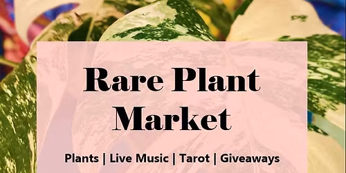 Rare Plant Market