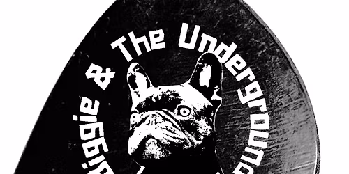 Biggie & The Underground at Riverfest