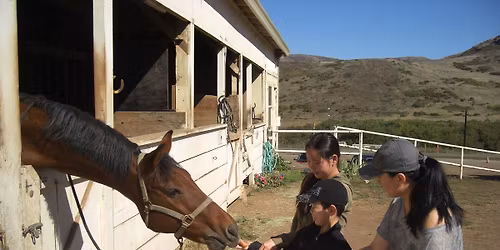 Spring Round-Up | Family Day with Horses
