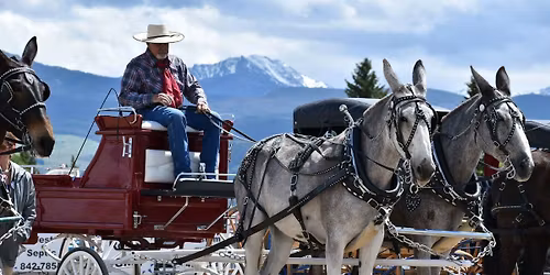 2026 Montana Mule Days 