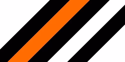 Top Tigers: Choose Your Academic Adventure