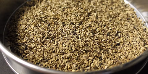Seed Collection & Processing Workshop