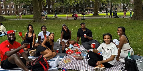 Caribbeing Summer at Governors Island!