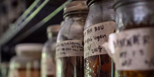 \ud83d\udca7Herbal Tinctures 101 - Part 2\/3 Medicine Making Series