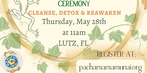 Kambo Ceremony - Full Body & Energetic Cleanse \ud83d\udc41\ufe0f\u2728\ud83d\udc38