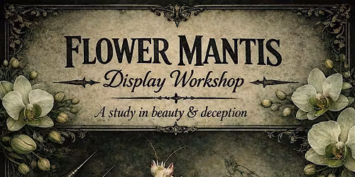 Flower Mantis Workshop