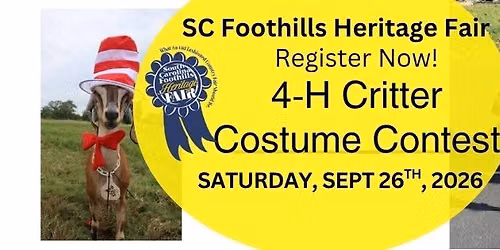 Critter Costume Contest 