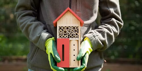 Youth Workshop: Make a Bee House