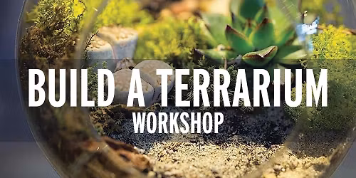 Build your Own Terrarium - Workshop