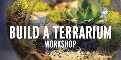 Build your Own Terrarium - Workshop