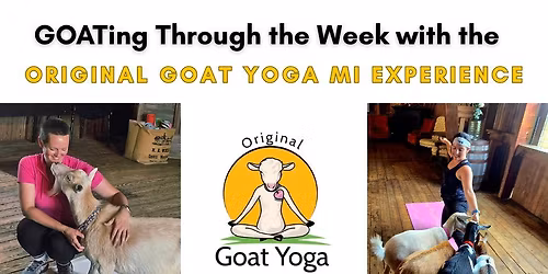 GOATing through the week with the Original Goat Yoga MI