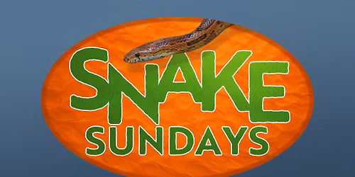 Snake Sundays