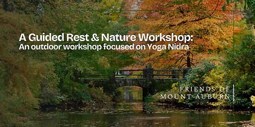 Guided Rest and Nature Walk Experience