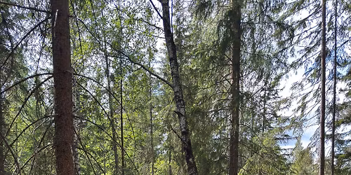 \u00c5pning av Torpo stinettverk og sparebank 1 cup ritt 2.