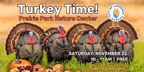 Turkey Time at Prairie Park Nature Center