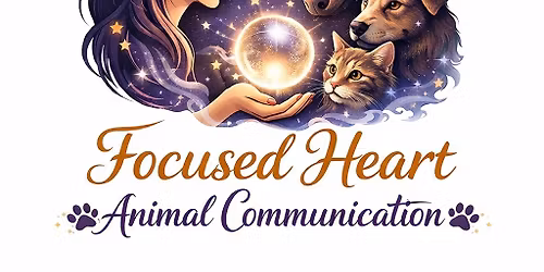 Animal Communication, Intuitive Readings & Tarot
