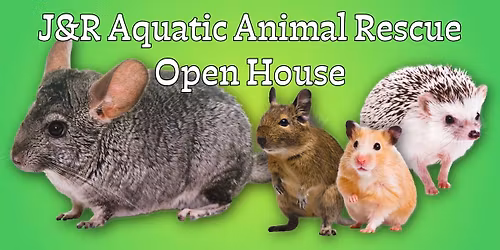 \ud83d\udc3e Open House at J&R Aquatic Animal Rescue! \ud83e\udd8e\ud83d\udc0d\ud83e\udd9c