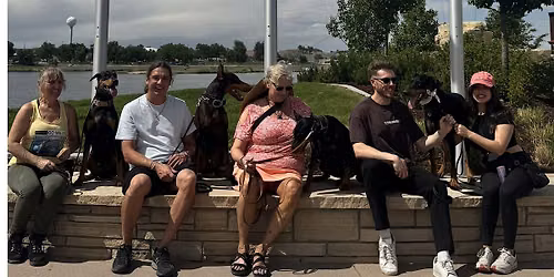 FREE Doberman Pack Walk | Wash Park in Denver, CO