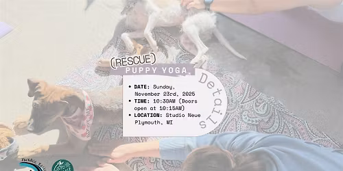 Rescue Puppy Yoga at Studio Neue (10:30AM)