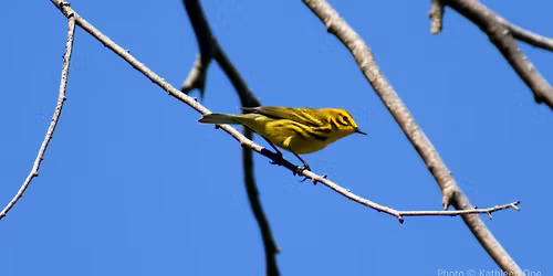 Field Trip: Mineral Hills