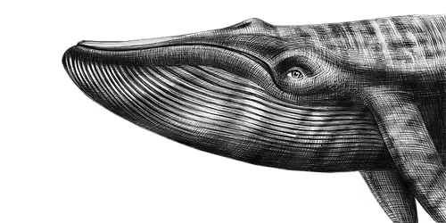 Parking Bane with Rotting Out, Eyes of Salt, and Warmachine (16+)