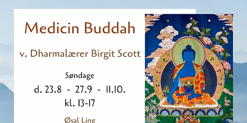 Medicin Buddha v. Birgit Scott