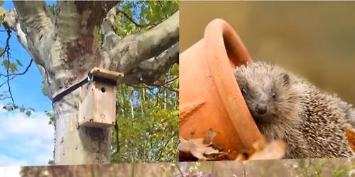 La biodiversit\u00e9 pr\u00e8s de chez vous ! 