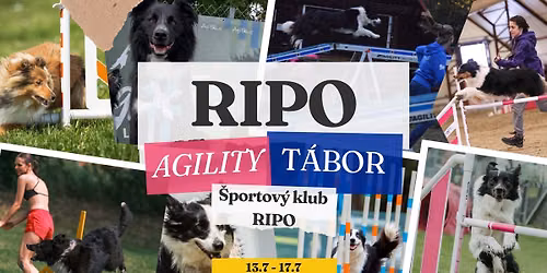 RIPO AGILITY T\u00c1BOR II.Turnus - ZMENA! - Agility intez\u00edvka