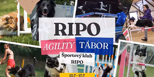 RIPO AGILITY T\u00c1BOR II.Turnus