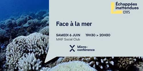 Face \u00e0 la mer | Les \u00c9chapp\u00e9es inattendues
