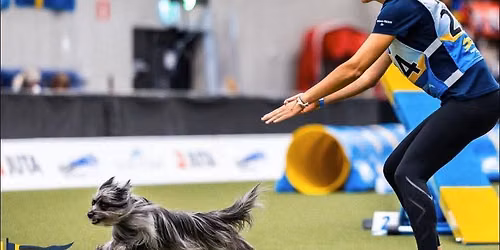Stage agility avec M\u00e9lanie Proux