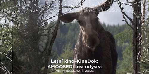 Letn\u00ed kino\u2013KineDok: AMOOSED: los\u00ed odysea