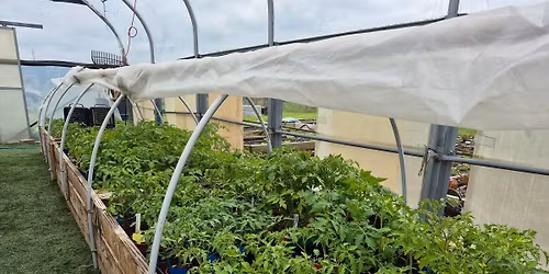 Ozark Gateway Master Gardener Plant Sale 
