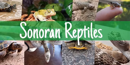 Snakes! Lizards! Tortoises!