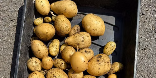You are what you eat! Nutritional density course
