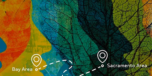 Bay Area Leaves Meetup