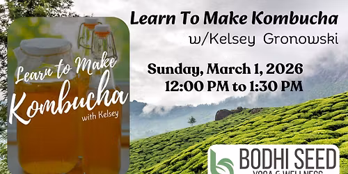 Learn To Make Kombucha w\/Kelsey