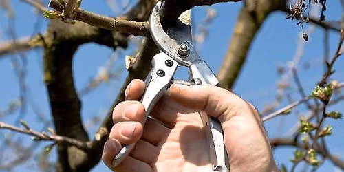 Kurz \u0159ezu strom\u016f