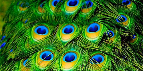 Continuous Chanting Morning 