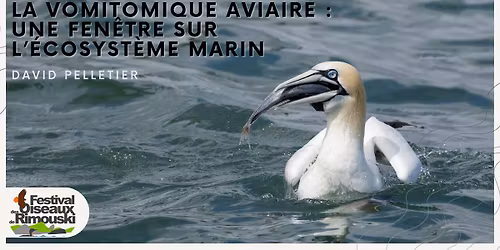 Conf\u00e9rence de David Pelletier - La vomitomique aviaire : une fen\u00eatre sur l\u2019\u00e9cosyst\u00e8me marin
