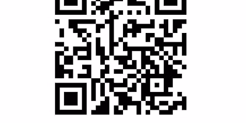 Champions of Wellness Road Race